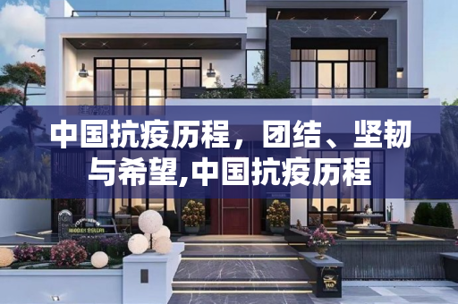 中国抗疫历程，团结、坚韧与希望,中国抗疫历程