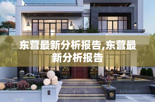东营最新分析报告,东营最新分析报告