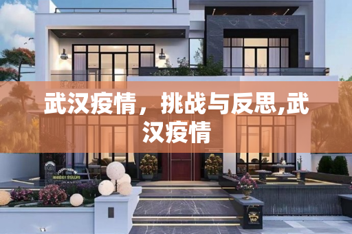 武汉疫情，挑战与反思,武汉疫情
