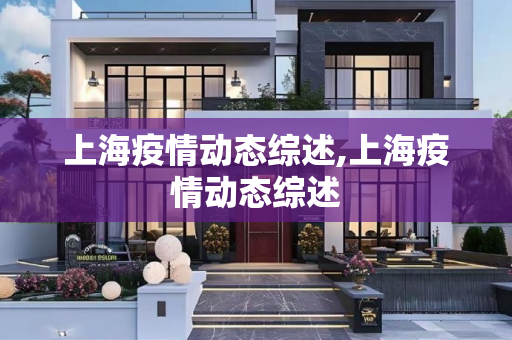 上海疫情动态综述,上海疫情动态综述