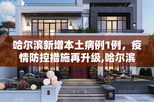 哈尔滨新增本土病例1例，疫情防控措施再升级,哈尔滨新增本土1例