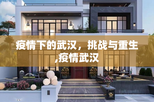 疫情下的武汉，挑战与重生,疫情武汉