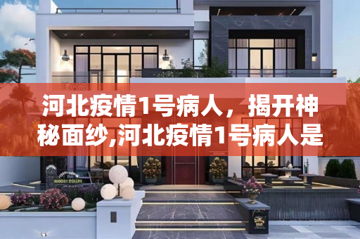 河北疫情1号病人，揭开神秘面纱,河北疫情1号病人是谁