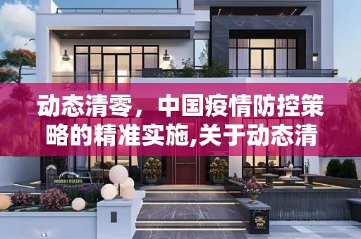 动态清零，中国疫情防控策略的精准实施,关于动态清零的信息