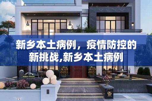 新乡本土病例，疫情防控的新挑战,新乡本土病例