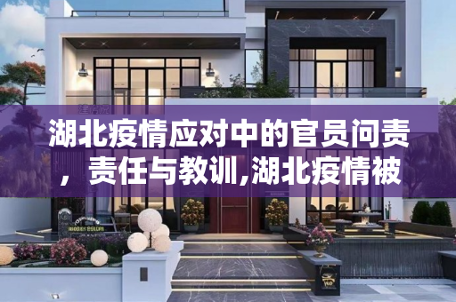 湖北疫情应对中的官员问责，责任与教训,湖北疫情被处理官员名单
