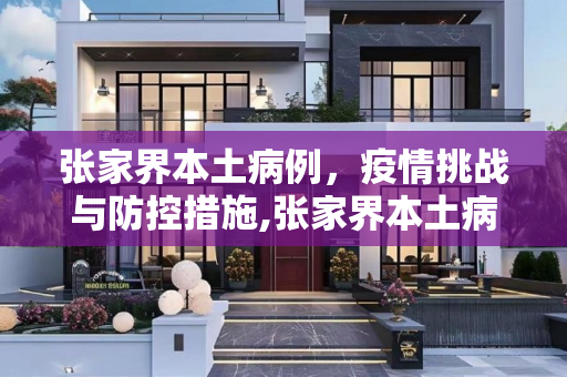 张家界本土病例，疫情挑战与防控措施,张家界本土病例