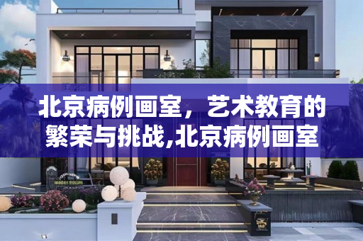 北京病例画室，艺术教育的繁荣与挑战,北京病例画室规模近2000人