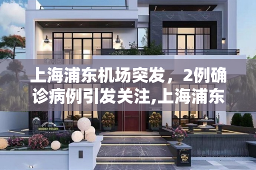 上海浦东机场突发，2例确诊病例引发关注,上海浦东机场发现2例确诊