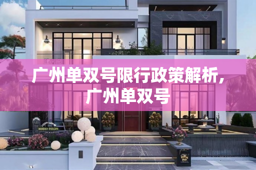 广州单双号限行政策解析,广州单双号