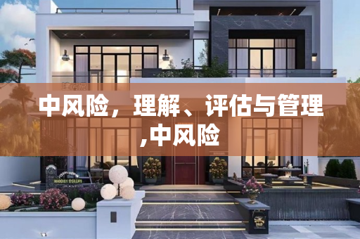 中风险，理解、评估与管理,中风险