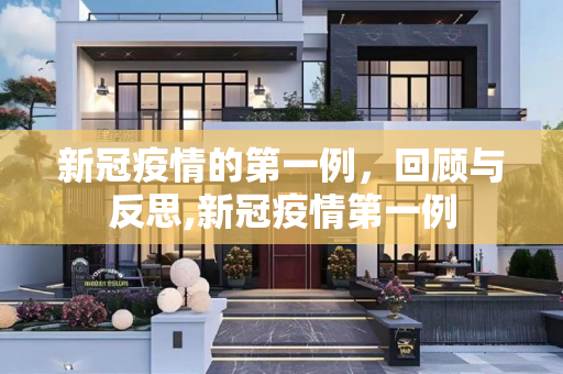新冠疫情的第一例，回顾与反思,新冠疫情第一例