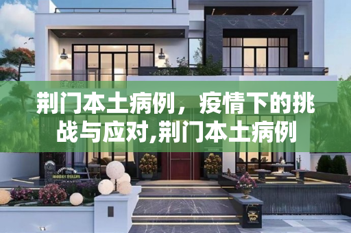 荆门本土病例，疫情下的挑战与应对,荆门本土病例