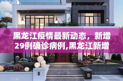 黑龙江疫情最新动态，新增29例确诊病例,黑龙江新增29例确诊