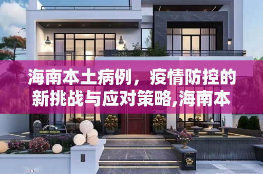 海南本土病例，疫情防控的新挑战与应对策略,海南本土病例