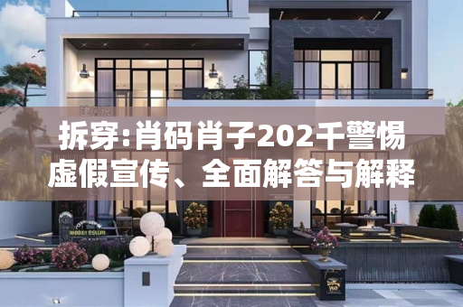 拆穿:肖码肖子202千警惕虚假宣传、全面解答与解释