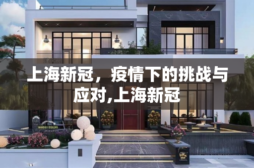 上海新冠，疫情下的挑战与应对,上海新冠